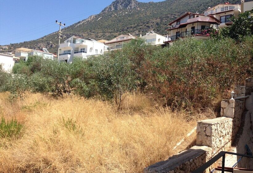 اتاق استاندارد, Lavender S Lodge