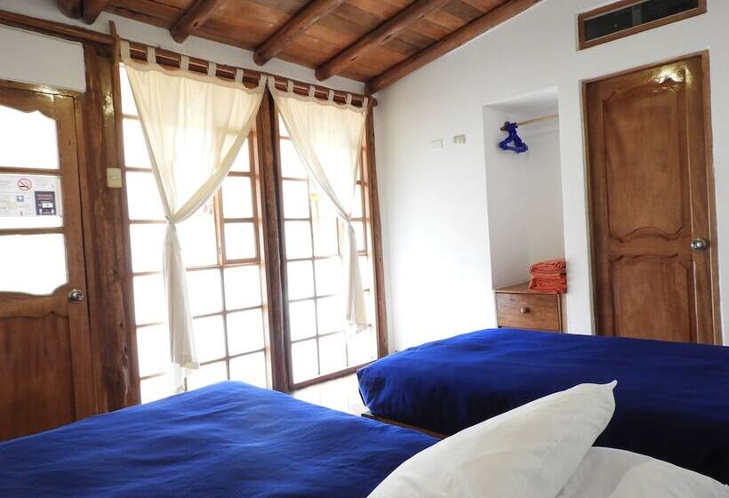 اتاق خانوادگی, Picaflor Tambo Guest House