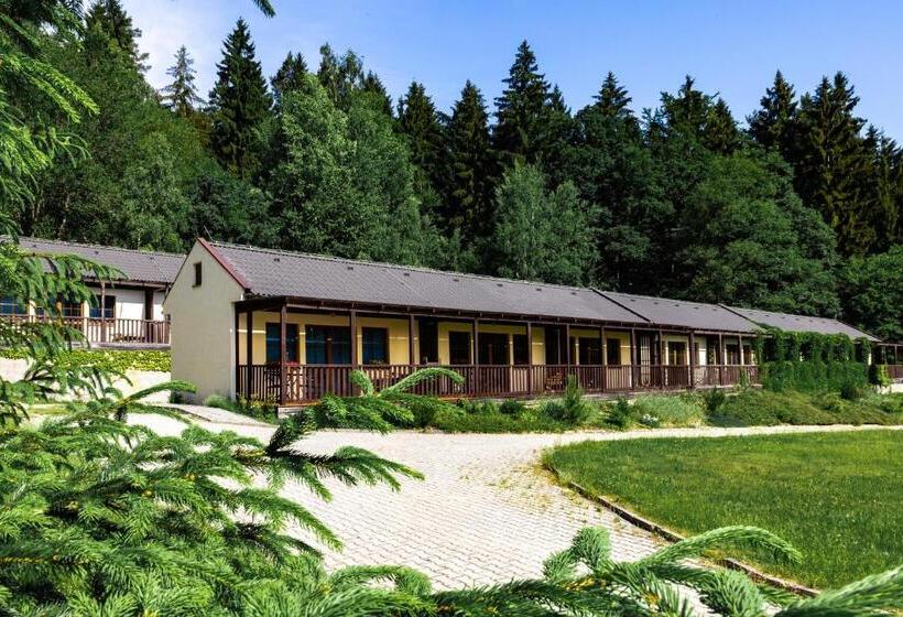 Люкс Повышенной Комфортности, Resort Lesní Lázně