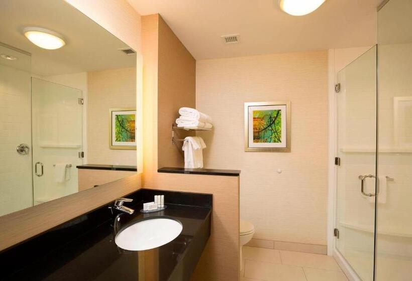 스탠다드 룸 킹사이즈 침대, Fairfield Inn & Suites By Marriott Durango