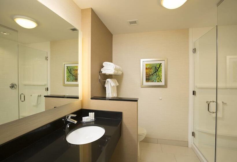 스위트, Fairfield Inn & Suites By Marriott Durango