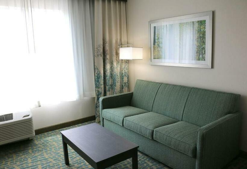 适合残疾人士使用的套间, Holiday Inn Express & Suites   Hendersonville Se   Flat Rock, An Ihg