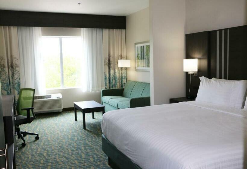 Номер Стандарт Кровать Кинг Адаптированный для Инвалидов, Holiday Inn Express & Suites   Hendersonville Se   Flat Rock, An Ihg