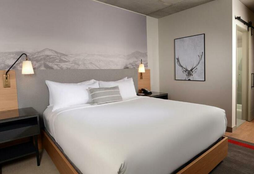 스탠다드 룸, Indigo Denver Downtown  Union Station, An Ihg