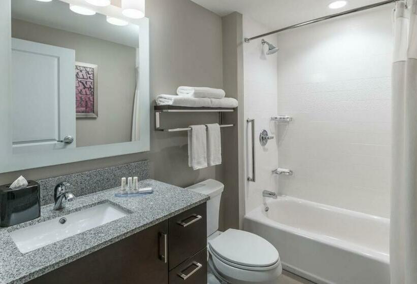 Standard Stúdió Szoba, Towneplace Suites By Marriott Chicago Schaumburg