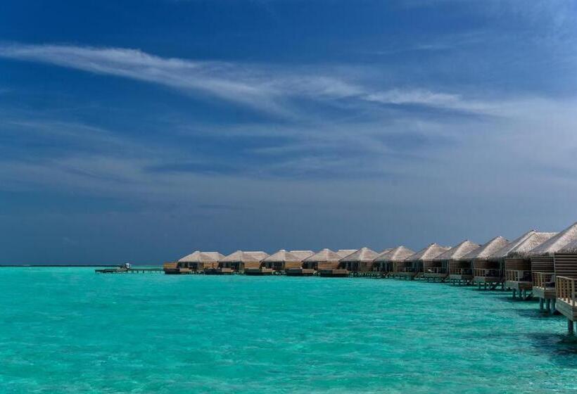 سوییت, Cocoon Maldives  All Inclusive