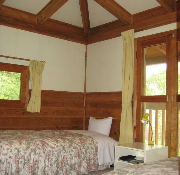 Номер Стандарт, Hirotani Pension