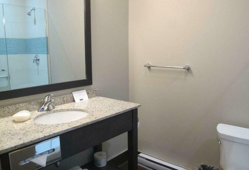 스탠다드 룸 킹사이즈 침대, Best Western Plus Hotel Montreal