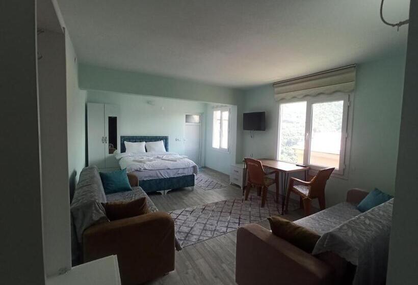 带1个卧室的公寓, Yeşi̇lalan Otel