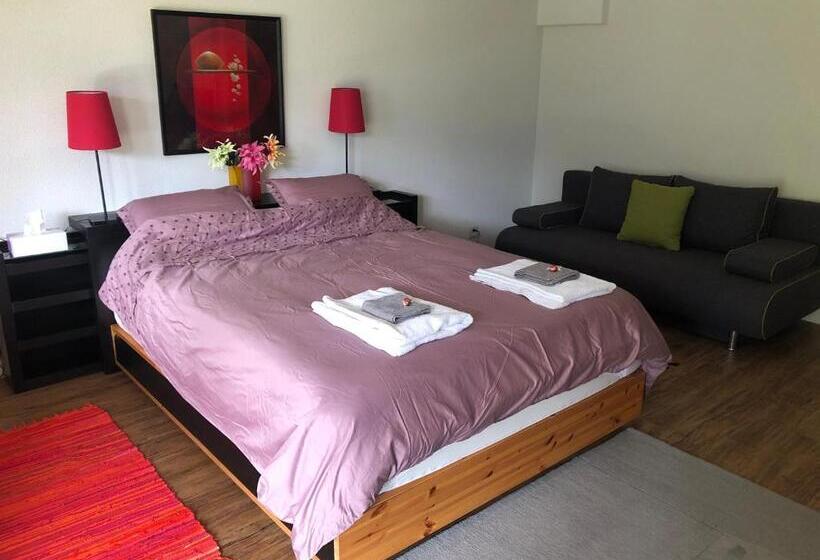 اتاق استاندارد با چشم‌انداز کوهستان, Hop In Nest Cozy Bed&breakfast In Wengen
