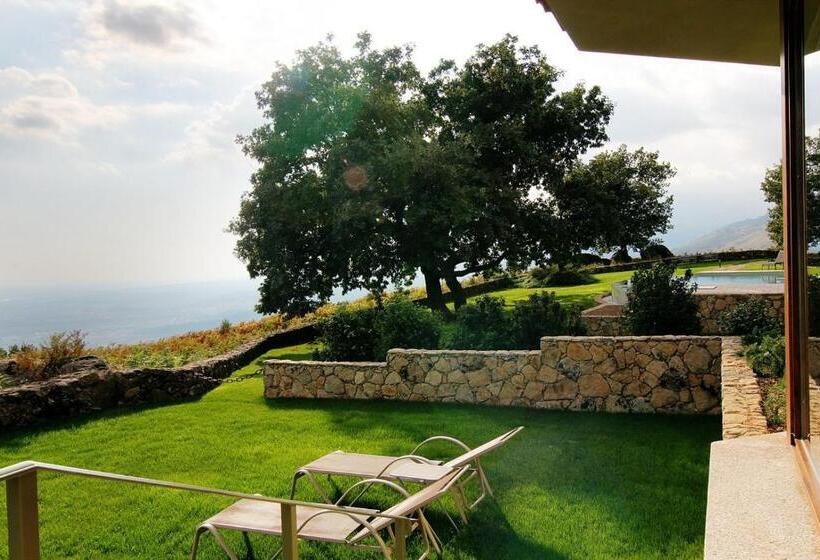 Suite, Nabia