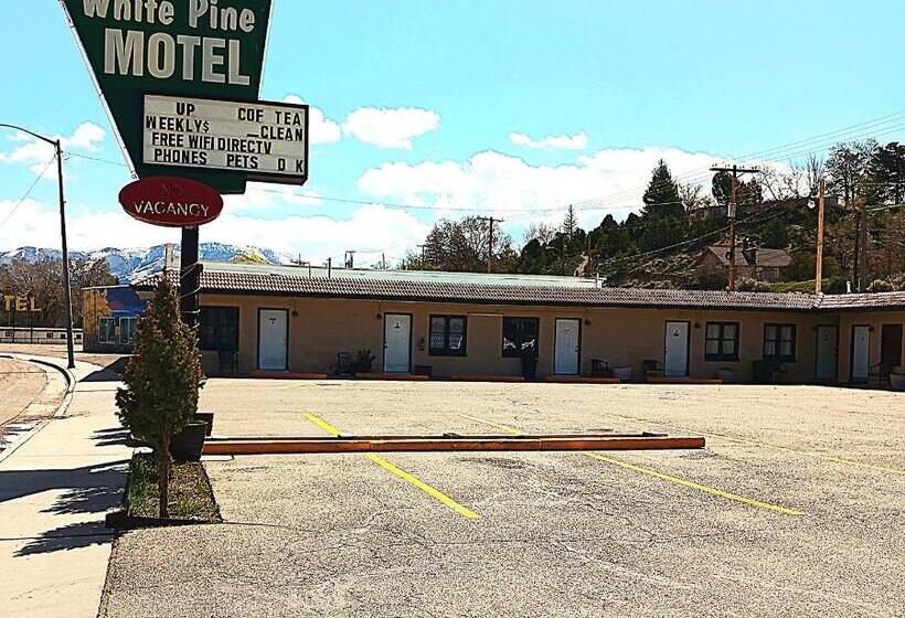 Номер Стандарт, White Pine Motel