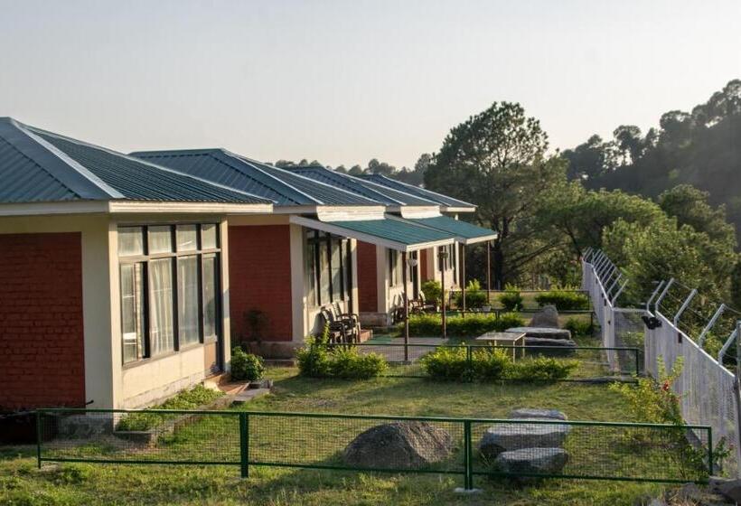 디럭스 룸, Dhauladhar View Village Resort
