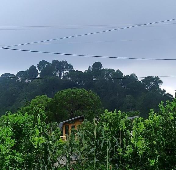 스탠다드 룸 가든 전망, Dhauladhar View Village Resort
