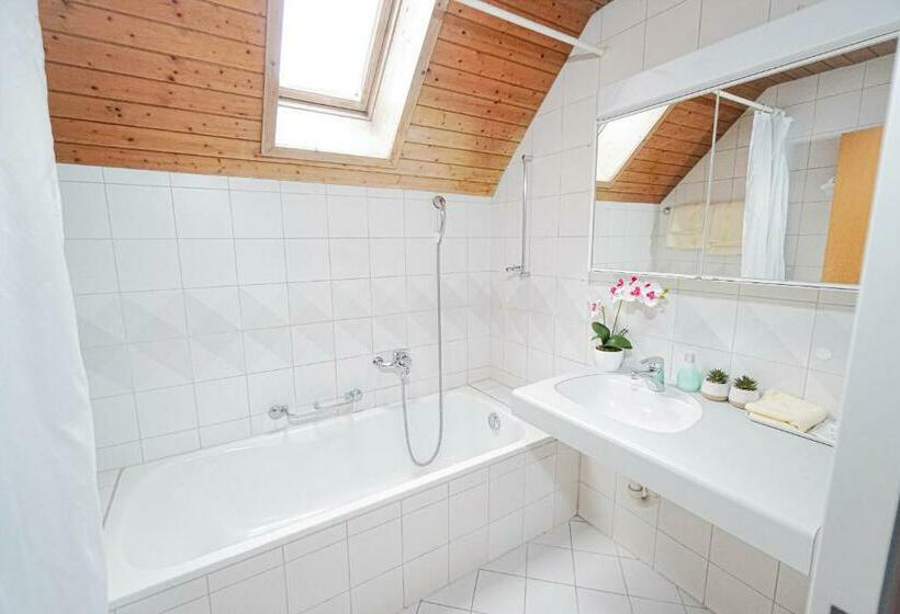 سوییت خانوادگی, Centra Hotel Zurich