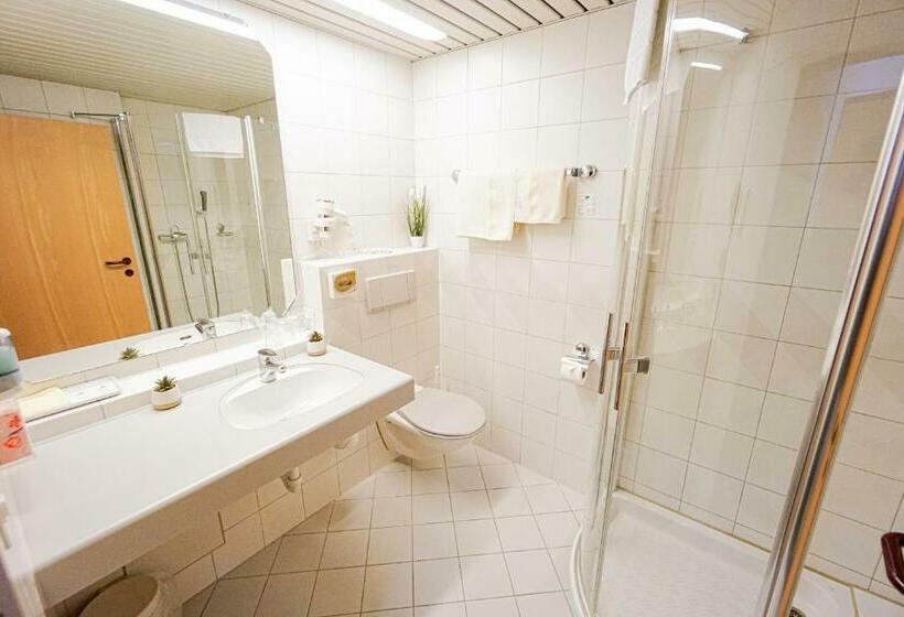 اتاق استاندارد, Centra Hotel Zurich