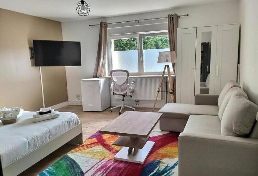 Номер Стандарт, Ch Privée 23m   Canapé Lit   Wifi   Appart 120m
