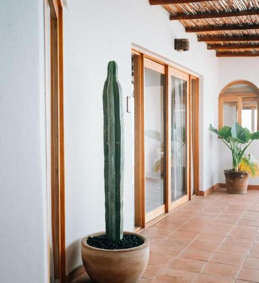 スタンダード４人部屋, Boutique Casa La Malagueña