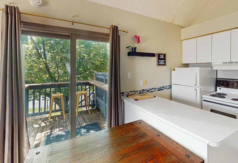 Студия Стандарт, Condo 515 At North Creek Resort