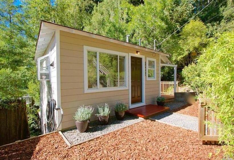 Студия Стандарт, Downtown Cottage In The Woods