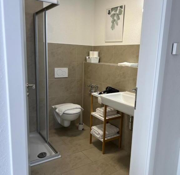 Студия Стандарт, New Age Boardinghaus Bad Wimpfen