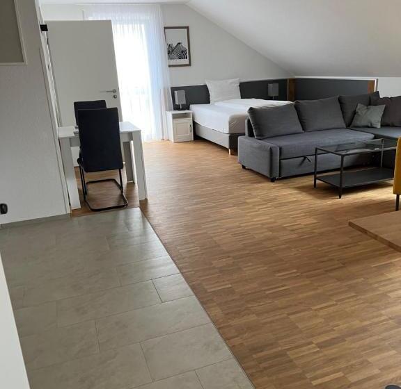 Студия Стандарт, New Age Boardinghaus Bad Wimpfen