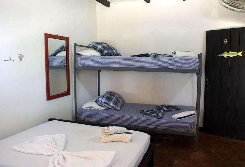 חדר משפחתי, Palenque Beach House