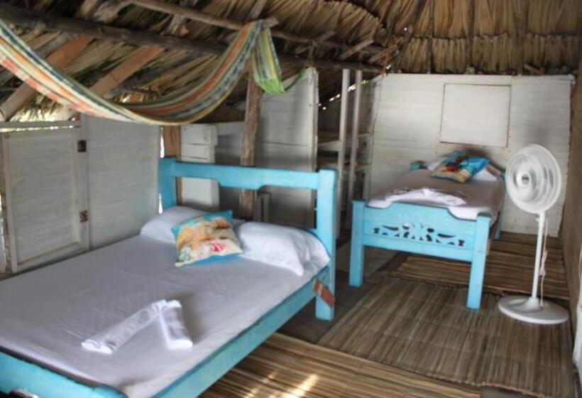 스탠다드 룸, Piña Colada Hostels