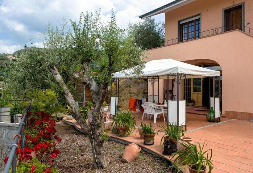 스탠다드 룸, Room In Villa   Room In The Hills With Garden And Sea View