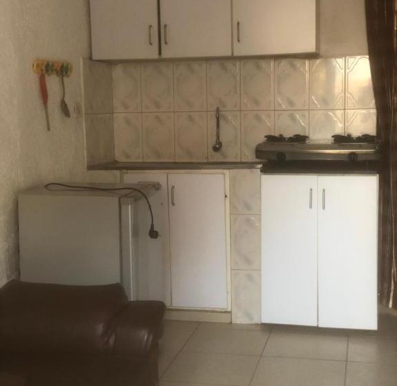 استودیو استاندارد با چشم‌انداز باغ, Zion Inn