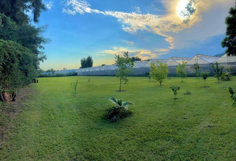 Номер Стандарт, Posada Del Cerro