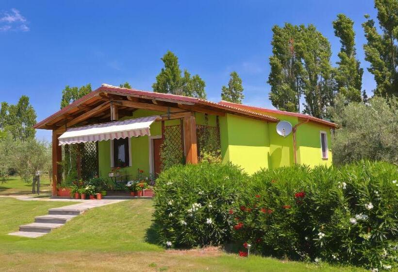 プールの見える１ベッドルームアパートメント, Agriturismo L Elce