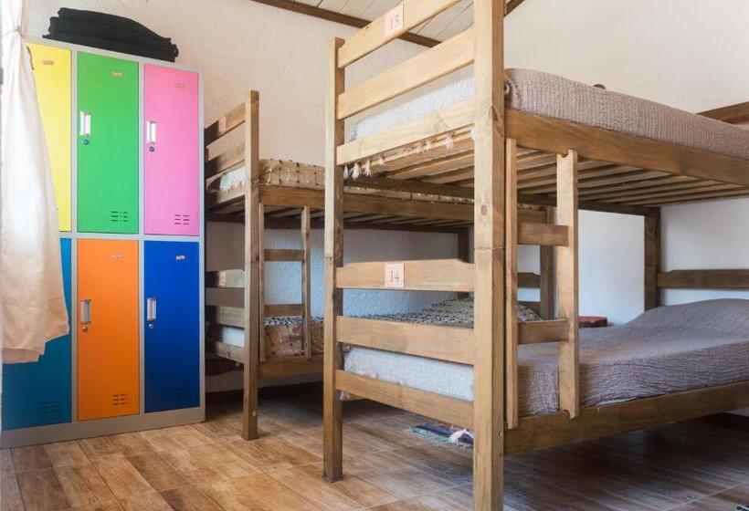 공동 객실, Las Palmas Beach Hostel