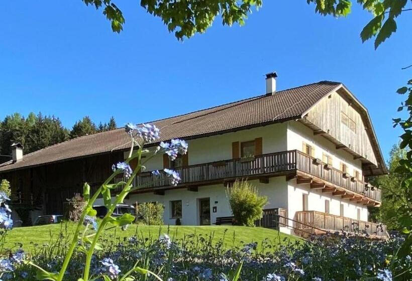 Апартаменты 1 Спальня с Балконом, Schöpfer Hof   Urlaub Beim Biobauer