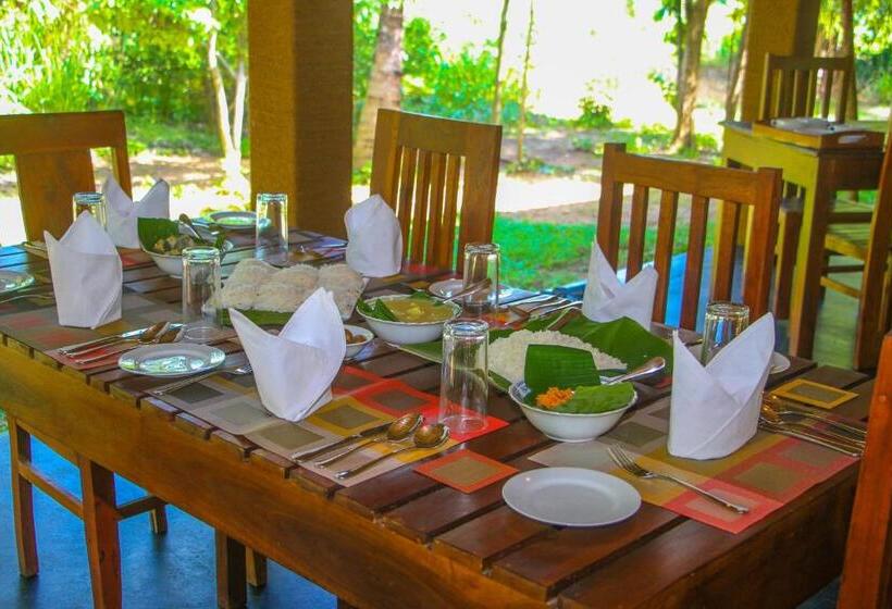 Семейный Номер Superior, Ceylon Amigos Eco Resort