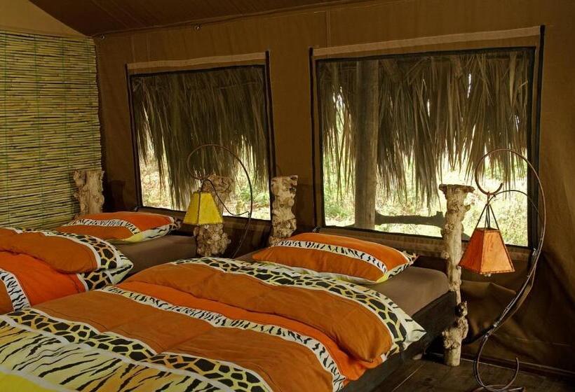 چادر با خدمات رفاهی استاندارد, Crater Forest Tented Lodge
