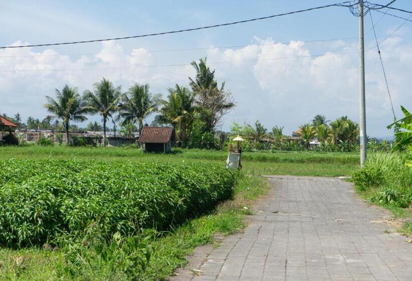 Номер Стандарт, Krisna Tapan Guest House