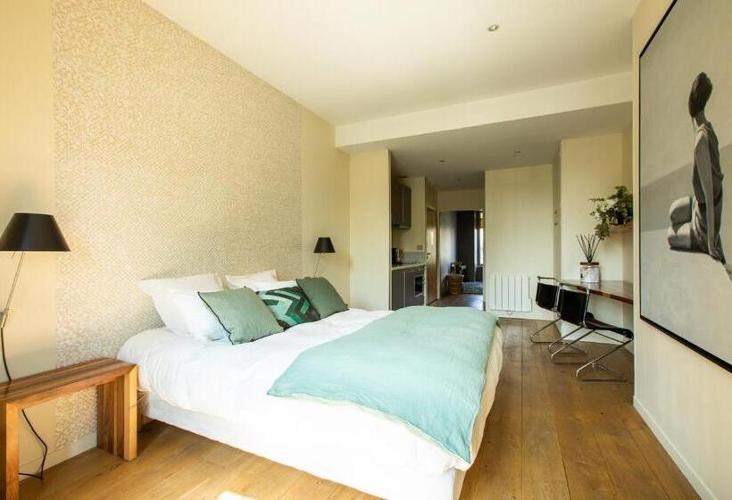 استودیوی استاندارد, Villa Fleury   Appart Hôtel De Standing