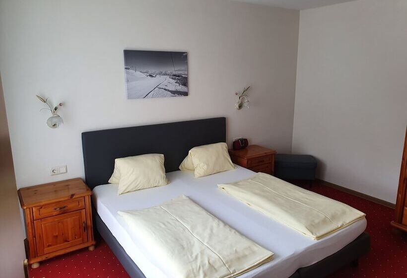 דירת שני חדרים, Aparthotel Pichler
