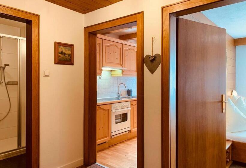 Апартаменты 1 Спальня с Балконом, Pension Jagerhof   Sommercard Inkl   5 Min Zum Hochzeiger