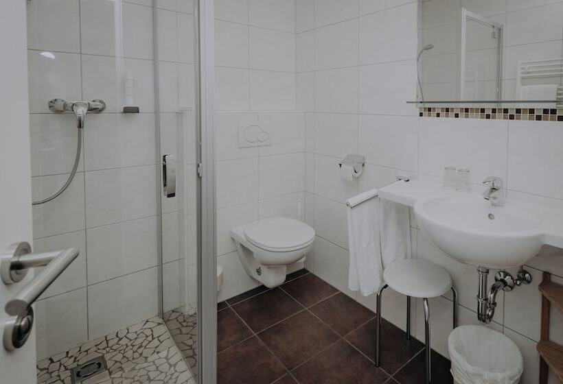 اتاق استاندارد با چشم‌انداز کوهستان, Sporthotel Kitz