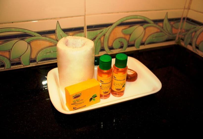 Номер Deluxe, Fabhotel Raj Vihar Residency