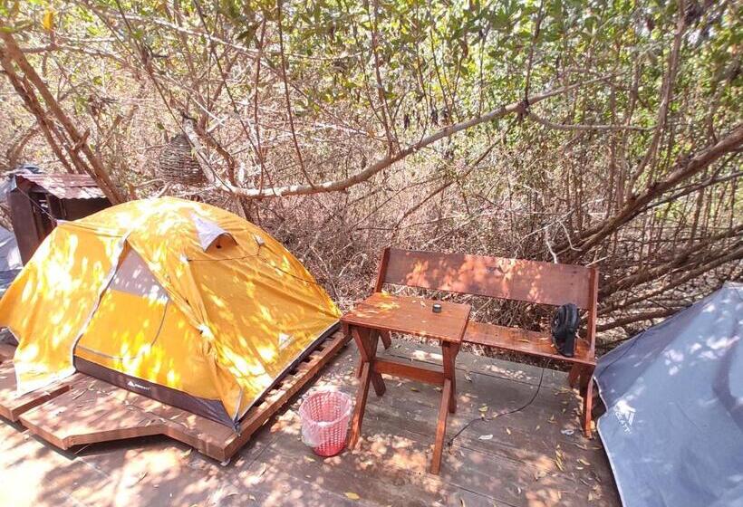 Standard Tent, Posada Corazon Mazunte