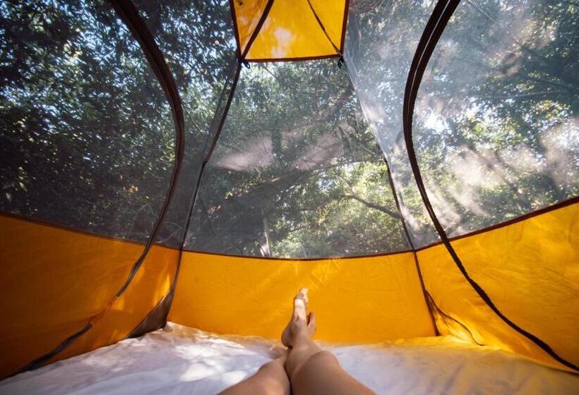 Standard Tent, Posada Corazon Mazunte