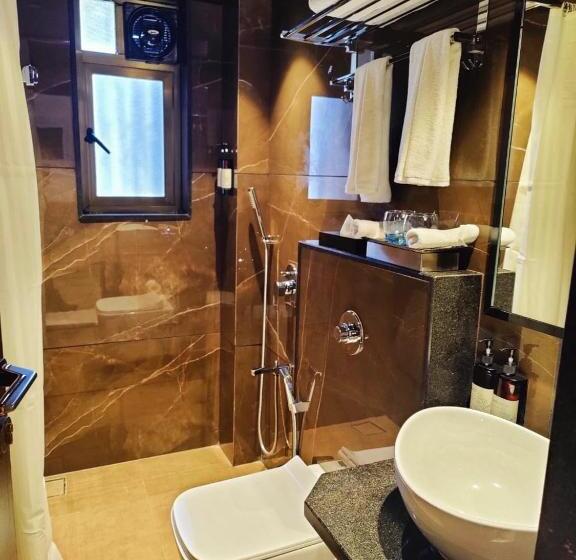 Президентский Люкс, Regenta Place Igatpuri