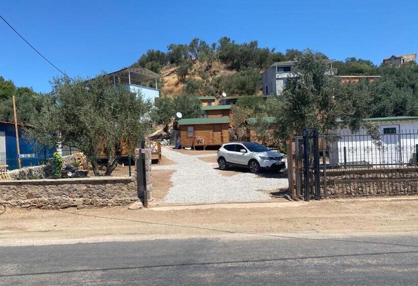Номер Стандарт, Assos Green Bungalow