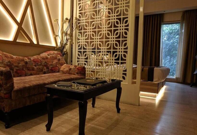 اتاق استاندارد, Jrd Pride, New Delhi