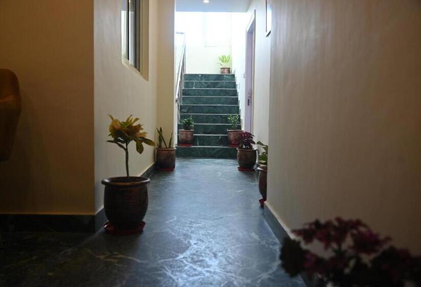 Номер Стандарт, Pine Ville Shimla