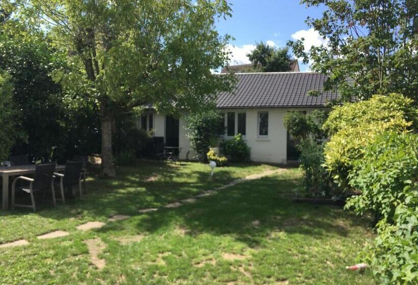 Family Suite, Au Tour Des Bois