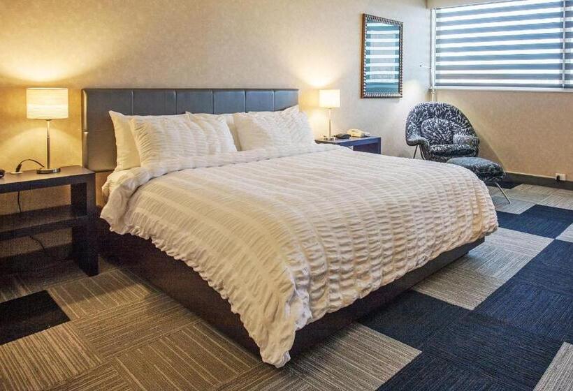 디럭스 스위트 킹 침대, Rapid City Hotel Luxury Private Suites